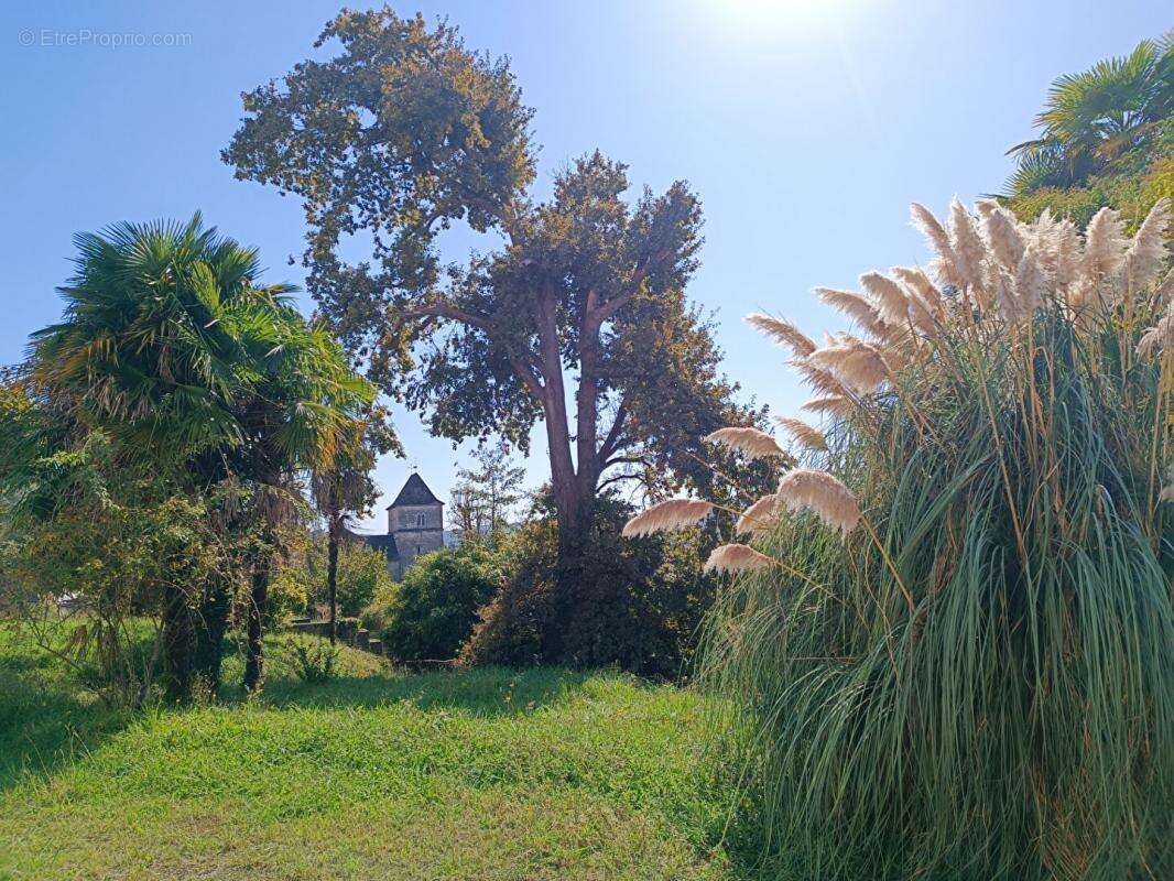 Maison à SALIES-DE-BEARN