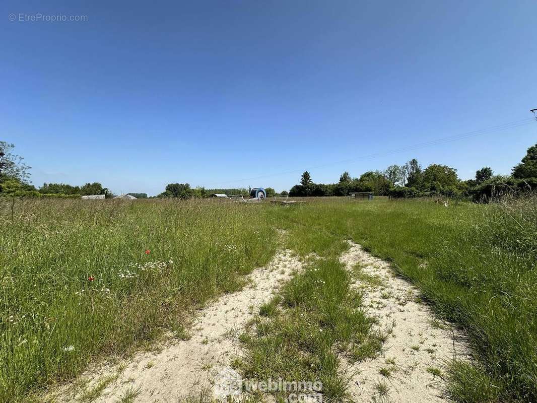 Il est libre de constructeur - Terrain à SISSONNE