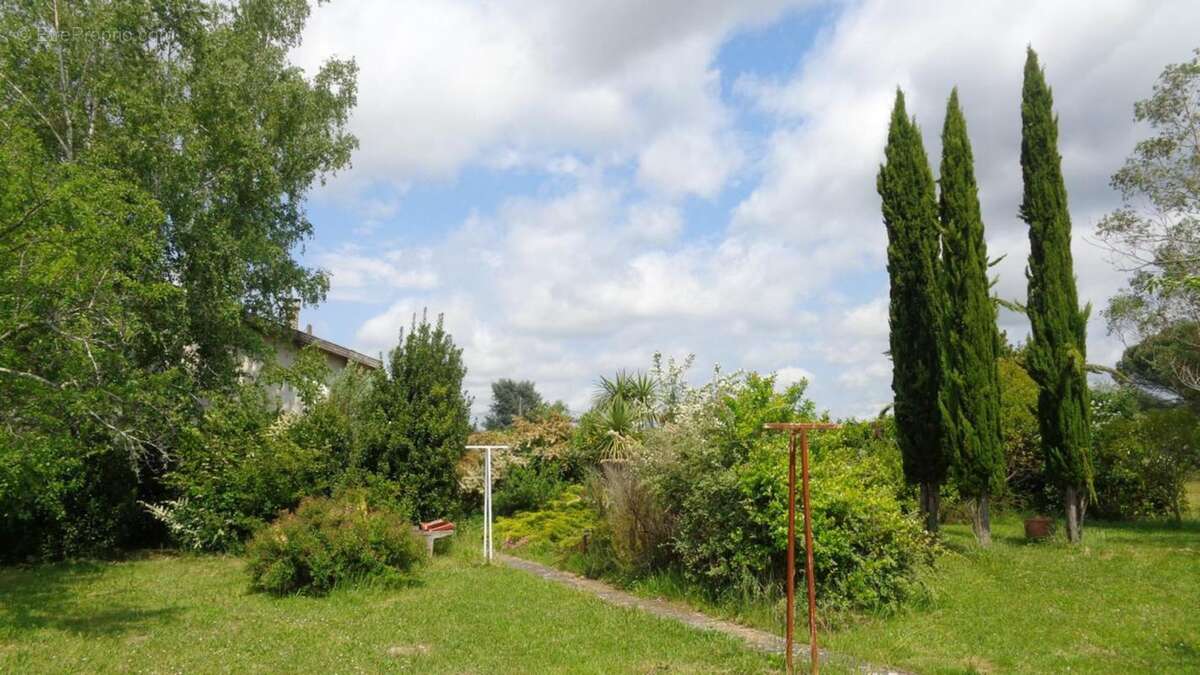Maison à ALBI