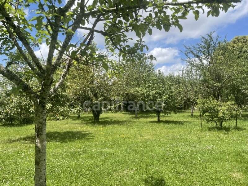 Maison à ARCES-DILO