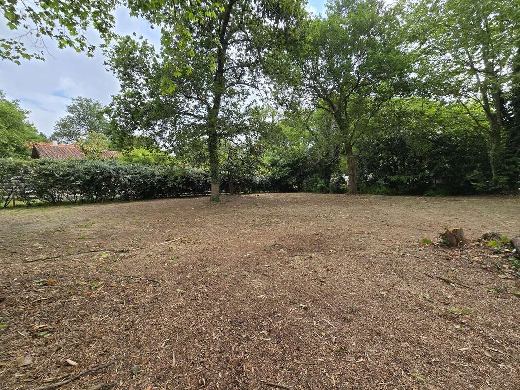 Terrain à MESSANGES