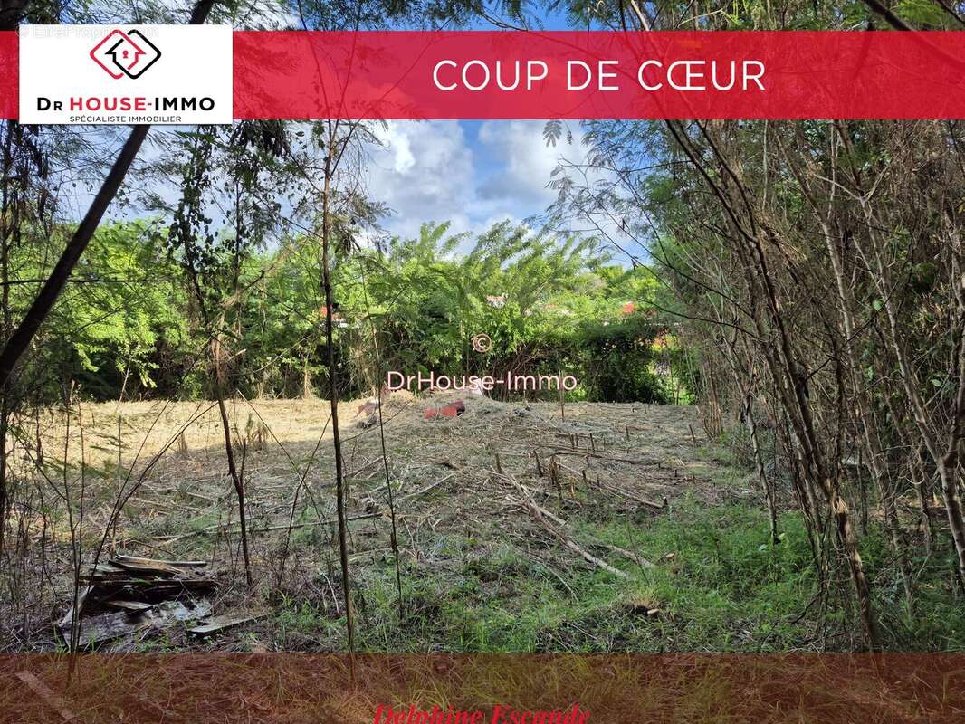 Terrain à LE VAUCLIN
