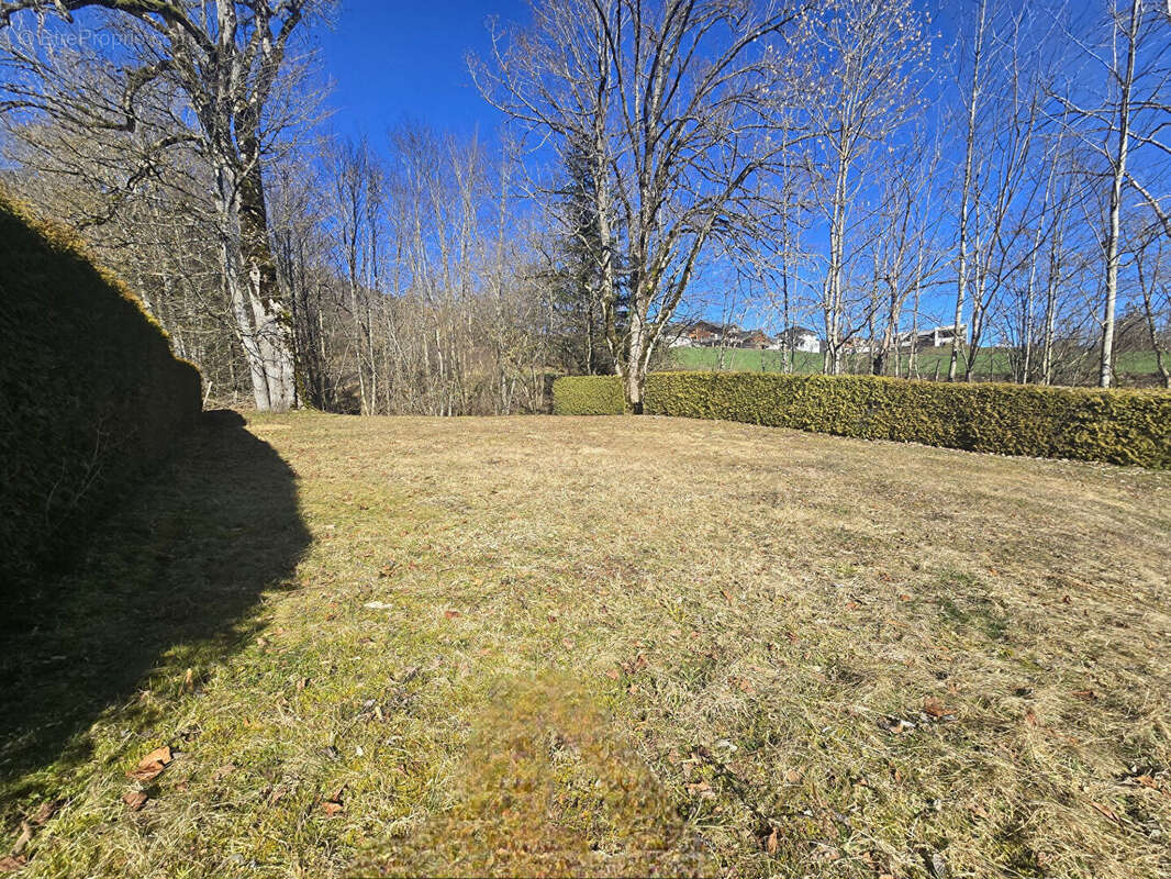 Appartement à JOUGNE