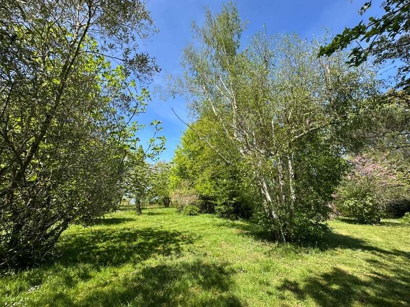 Maison de campagne, isolée, parc arboré, piscine - photo 22