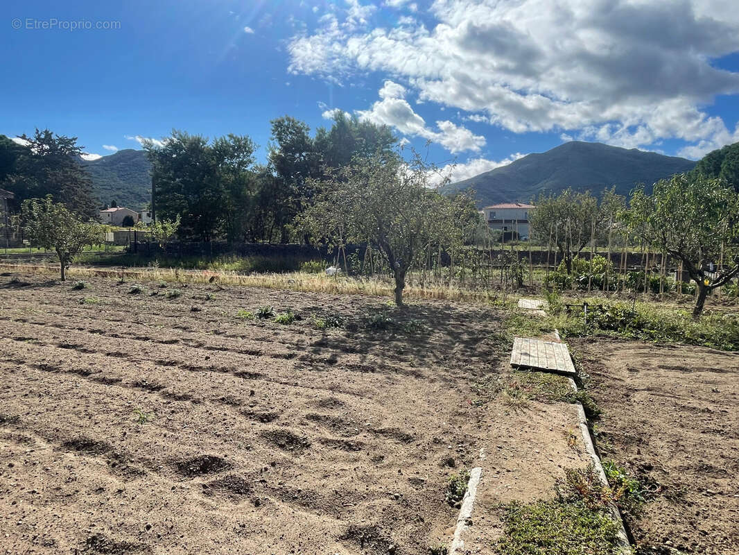 Sorède - terrain constructible de plus de 1 140 m2,  vue panoramique sur le massif des albères - photo 7