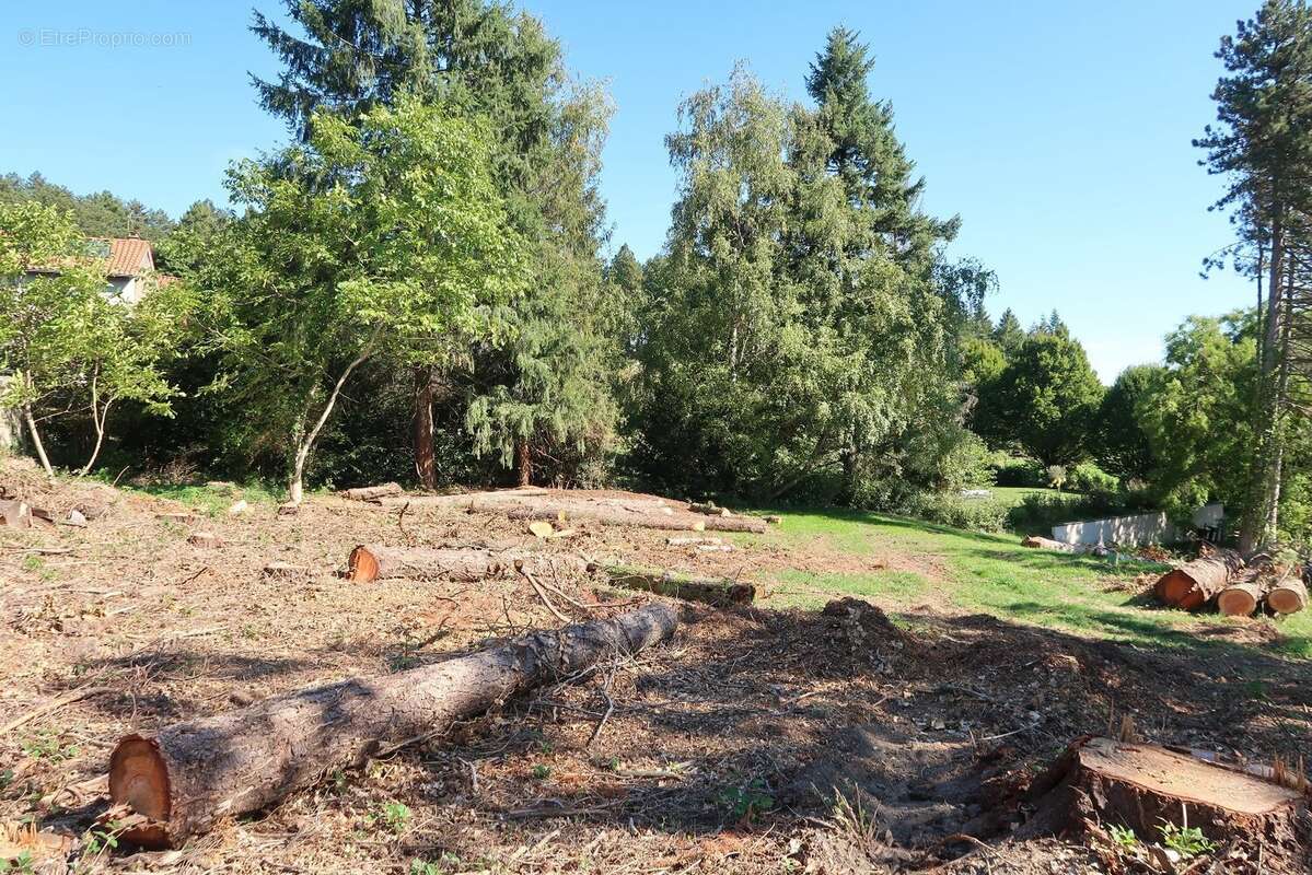 Terrain à SAINT-HEAND