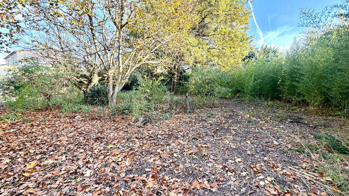 Terrain à ENTRAIGUES-SUR-LA-SORGUE