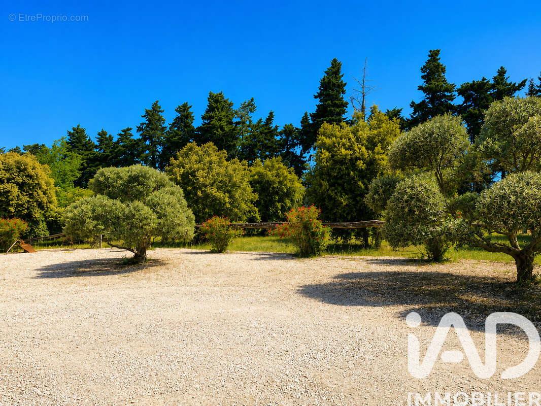 Photo 7 - Maison à PERNES-LES-FONTAINES
