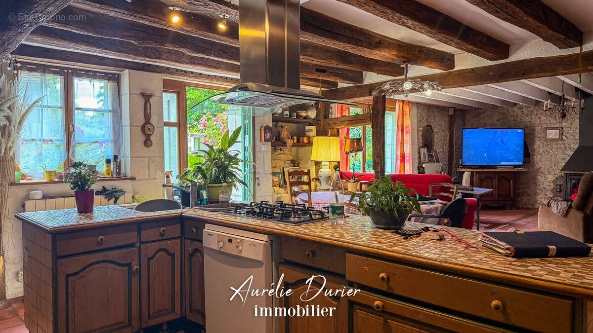 Maison Léonard - Ensemble de Charme à Chanceaux-sur-Choisille - photo 3