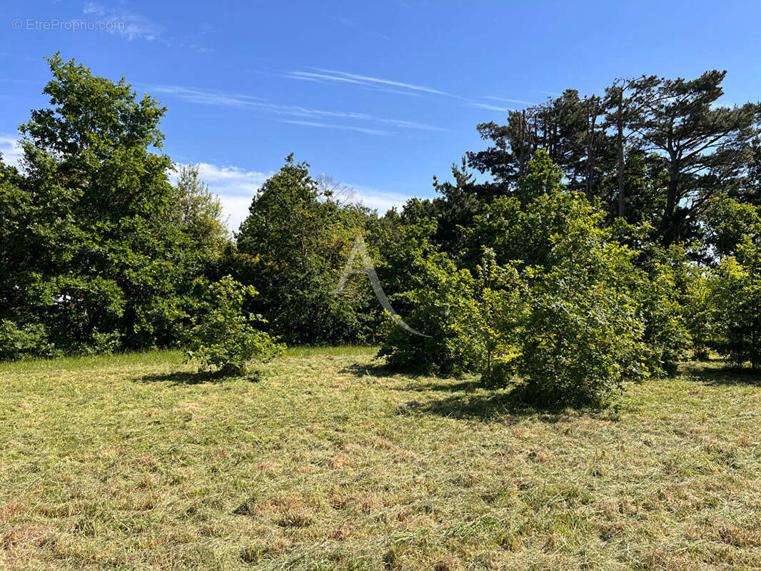 Terrain à LA CHAPELLE-ACHARD