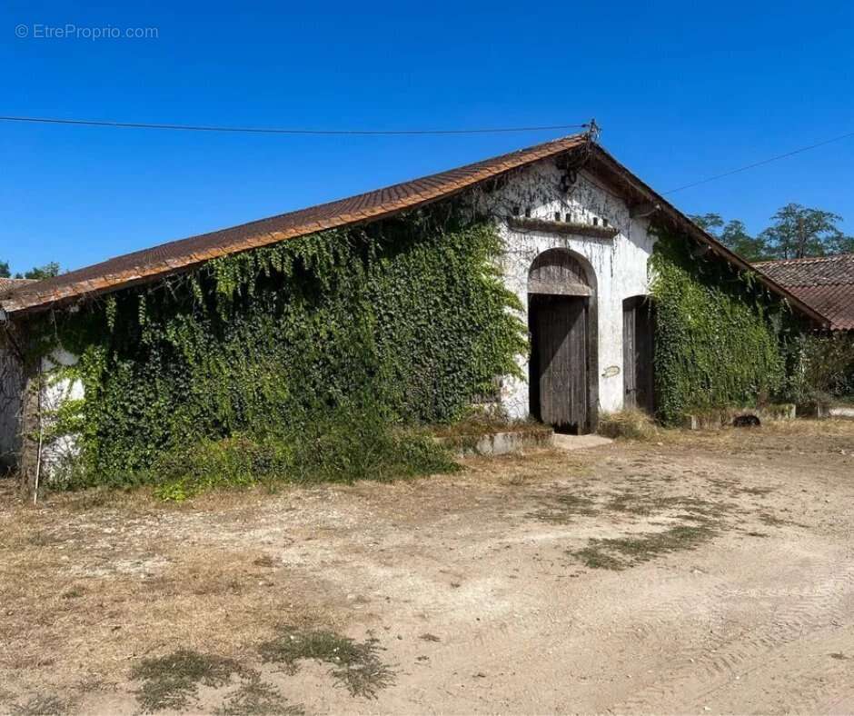 Domaine équestre 28 ha à Ménesplet Dordogne (24) - photo 4