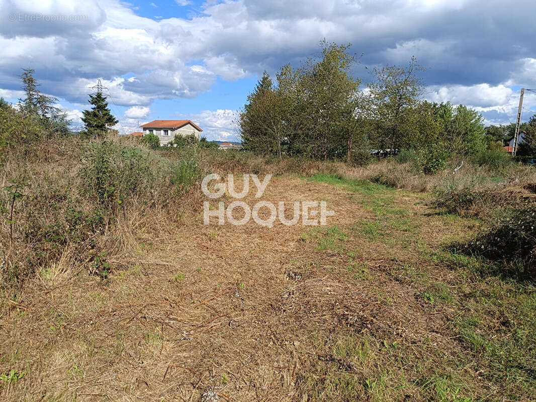 Terrain à FEURS