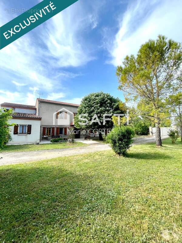 Photo 1 - Maison à ALBI
