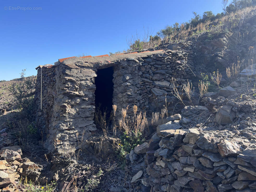 Terrain à BANYULS-SUR-MER