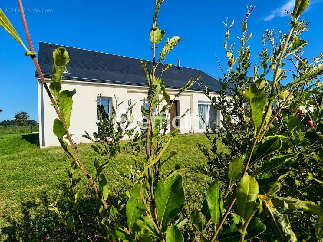 Maison à VILLEPERDUE