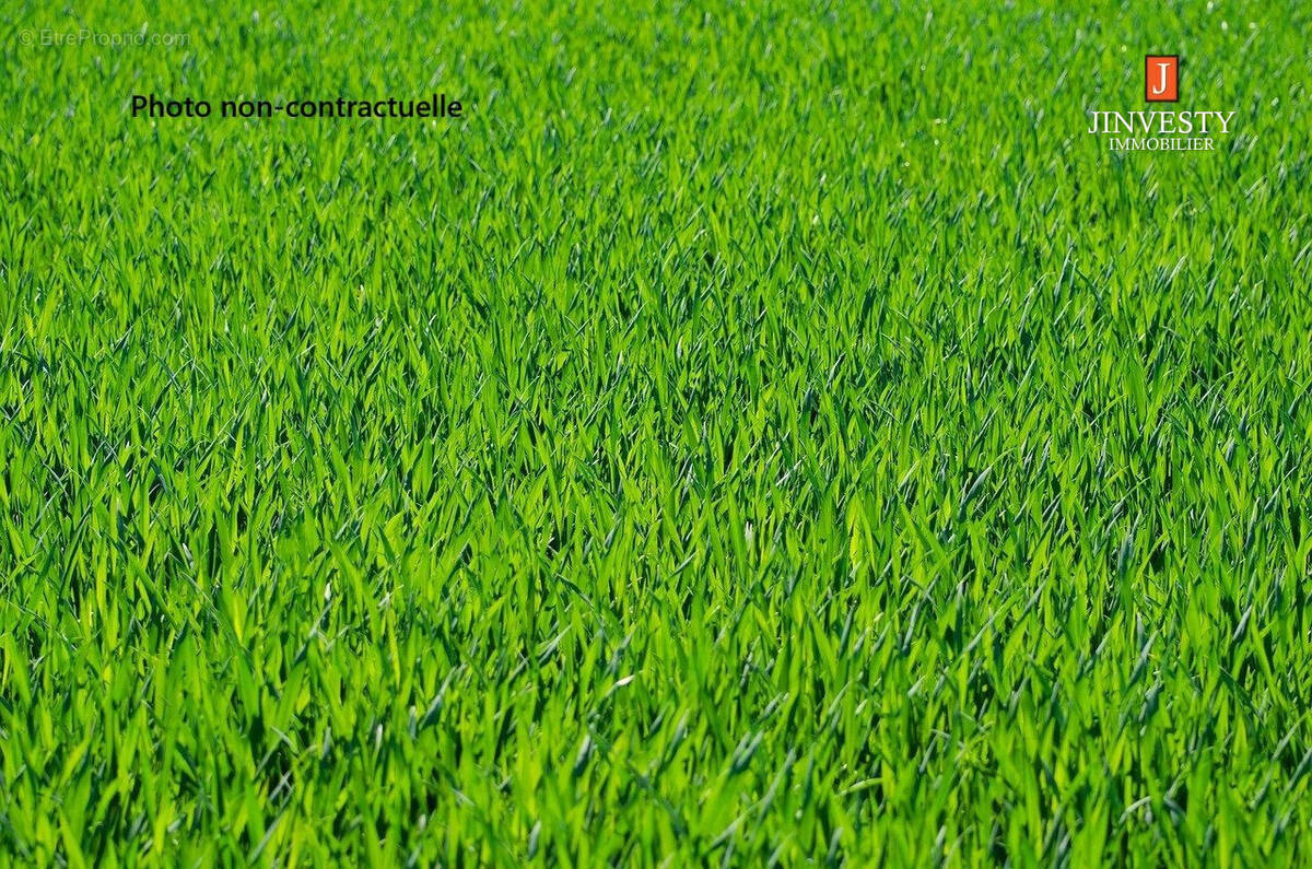 Terrain à HENNEBONT