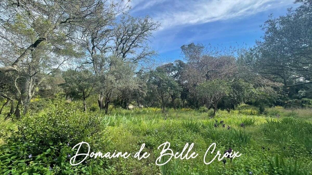 Photo 1 - Terrain à VILLENEUVE-LES-AVIGNON