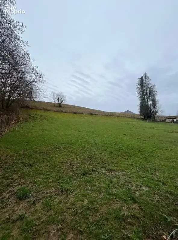 Terrain à SARE