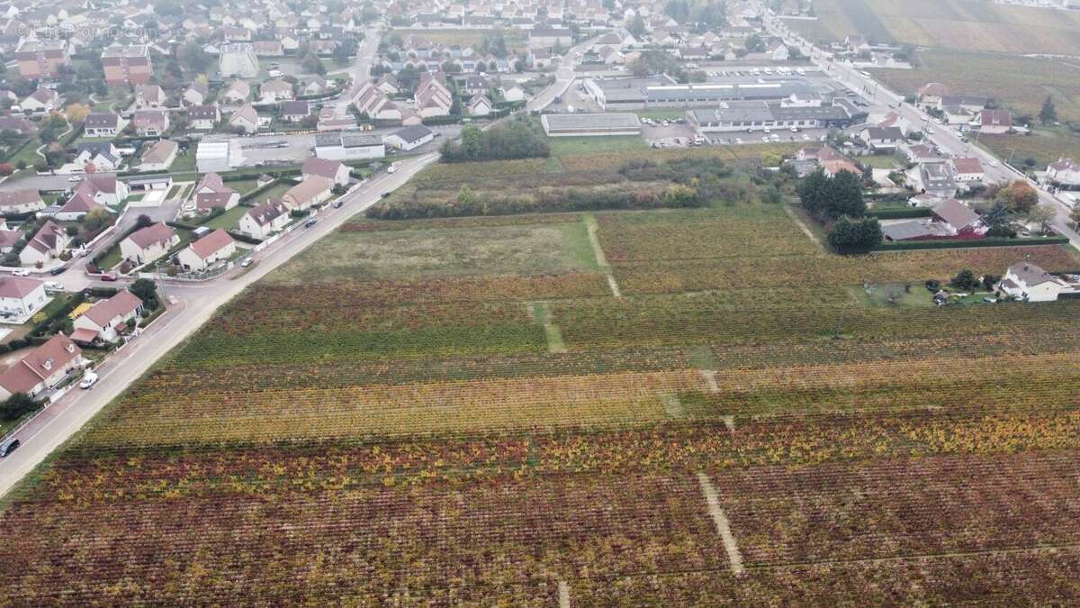 Terrain à NUITS-SAINT-GEORGES