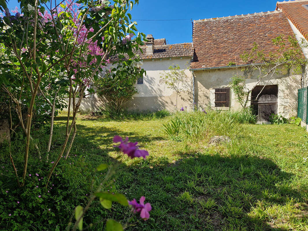 Maison à SELLES-SUR-CHER