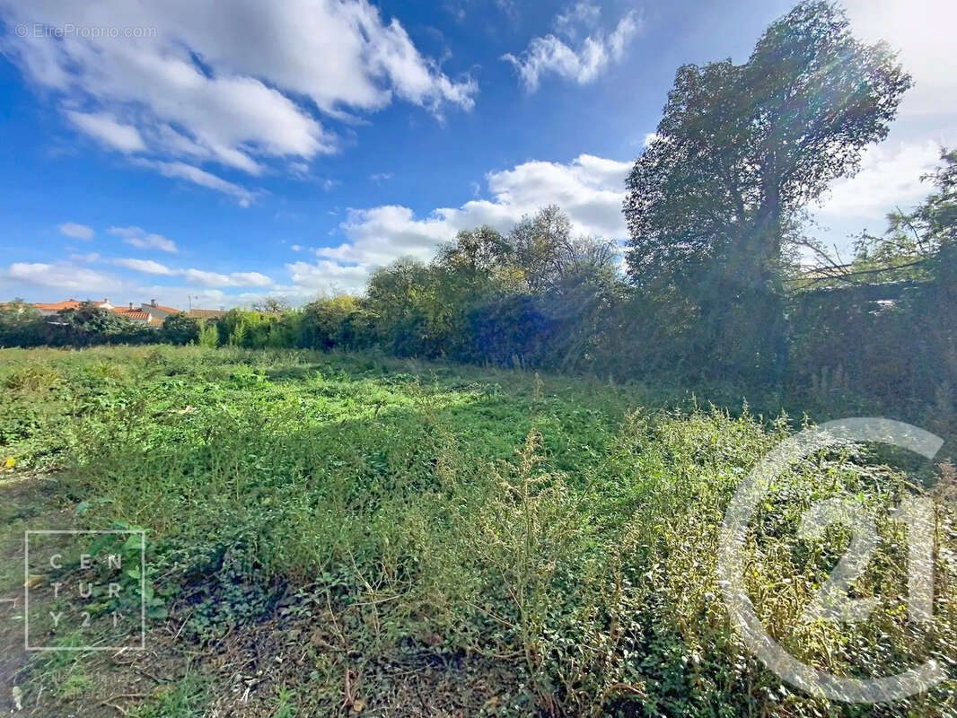 Terrain à TOULOUGES
