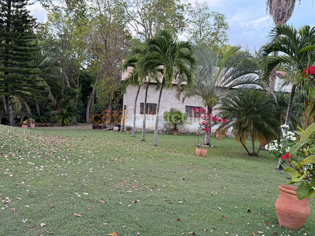 Propriete le moule terrain 9400m² - photo 11