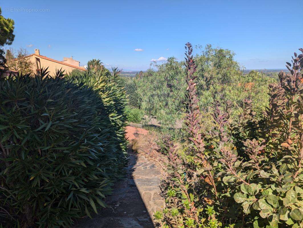 Superbe villa d'architecte avec vue mer et Albères - photo 16