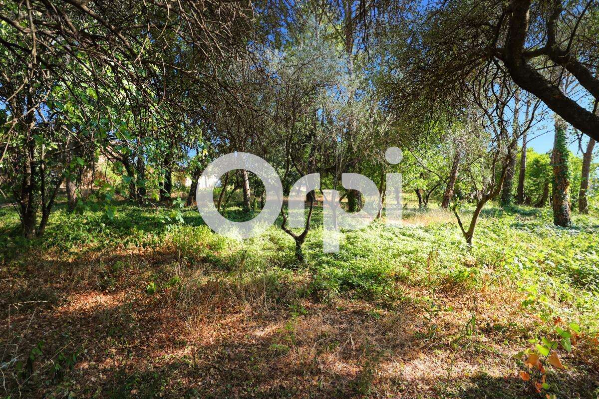 Maison à VALLON-PONT-D&#039;ARC