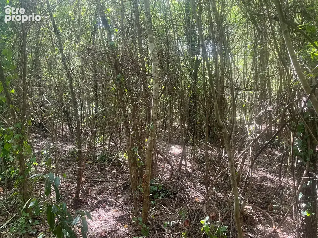 Terrain  en zone naturelle de 4042 m2 - photo 6