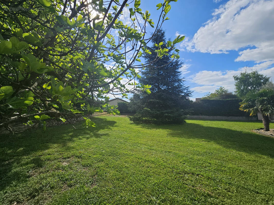 Terrain à SAINT-MAURICE-L'EXIL