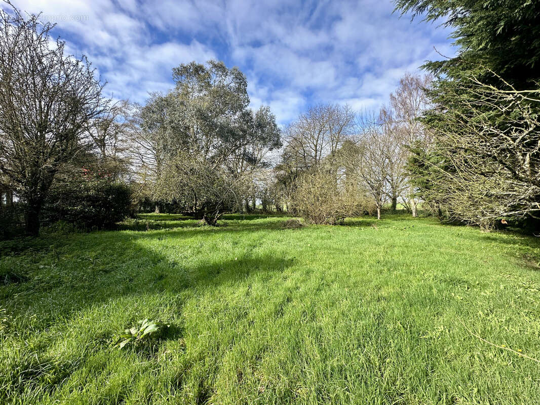 Maison 244 m² à Ploezal  - photo 6