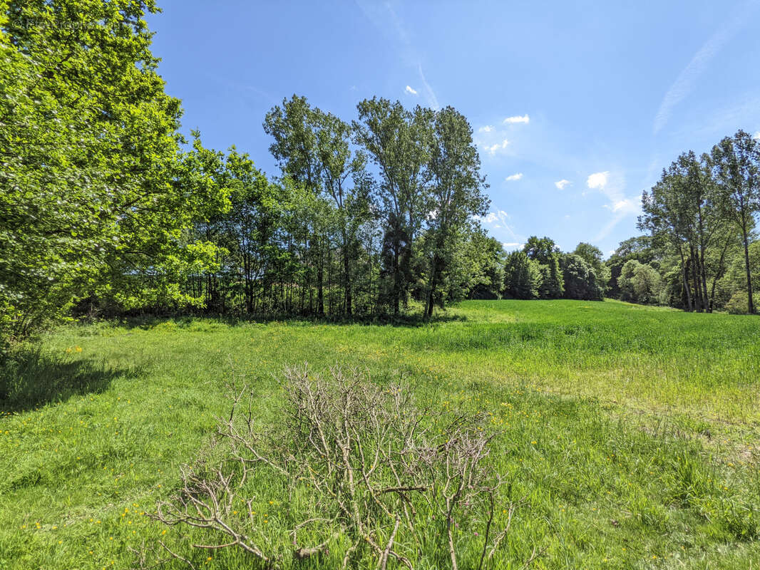 Un Manoir en Brocéliande à acheter avec CHT Immobilier - photo 41