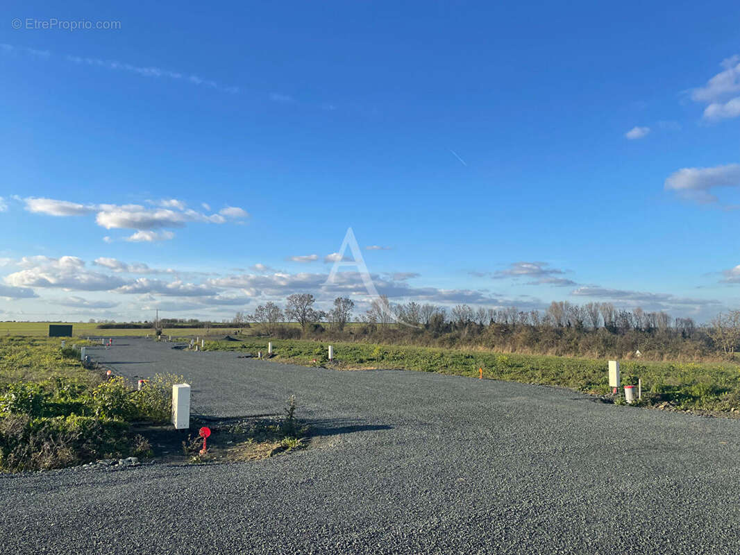 Terrain à CHAILLE-LES-MARAIS