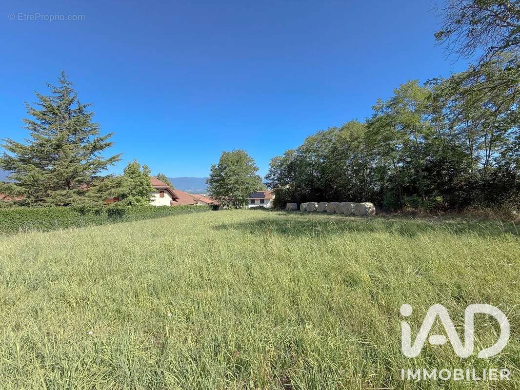 Terrain 8409 m² à Viry  - photo 4