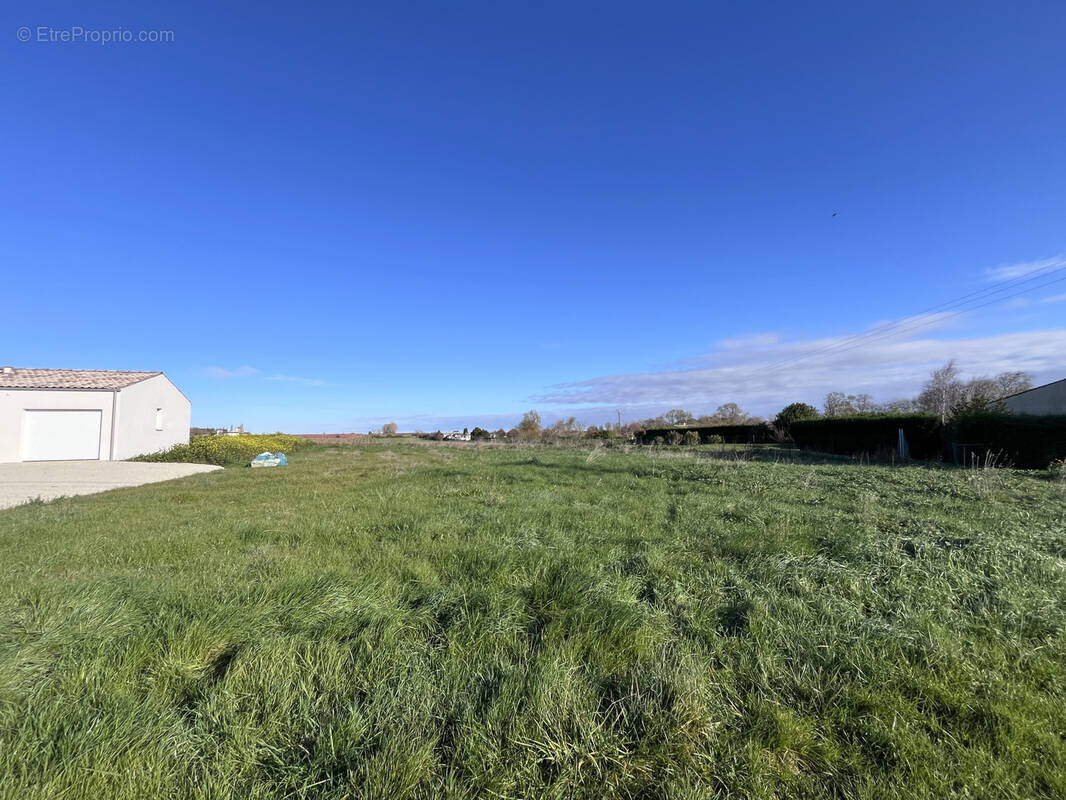 Terrain à MORTAGNE-SUR-GIRONDE