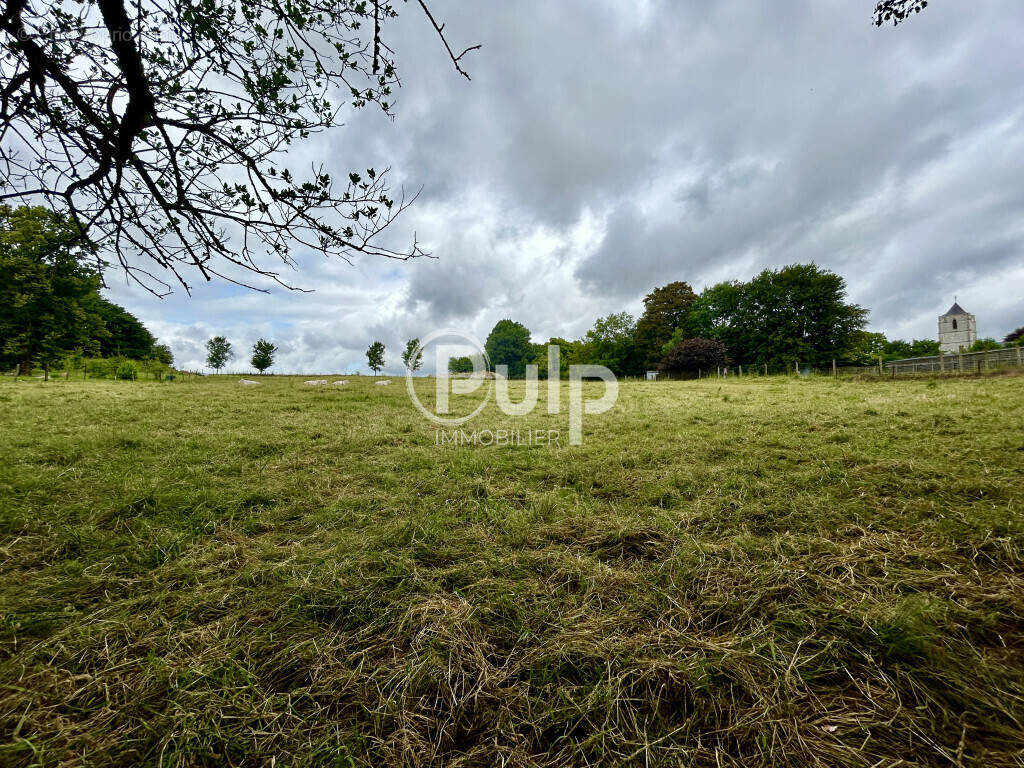 Terrain à VILLERS-AU-BOIS