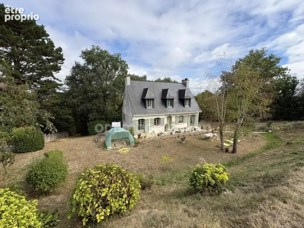 LA GACILLY MORBIHAN, Belle maison familiale de 5 chambres vendue en Viager occupé - photo 25