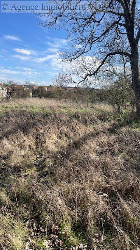 A vendre terrain viabilisé à ARRACOURT - photo 5