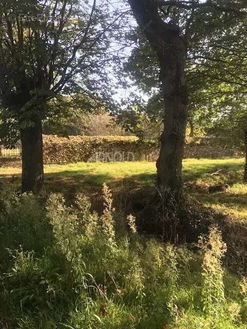 Commerce à LES SORINIERES