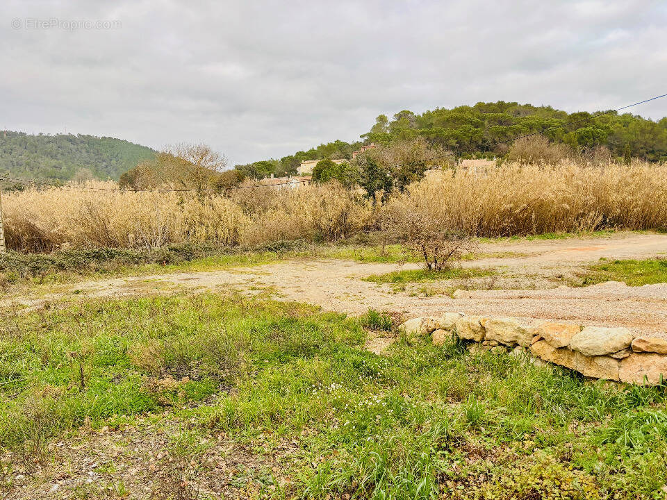 Terrain à PIERREFEU-DU-VAR