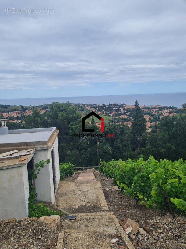 Terrain à COLLIOURE