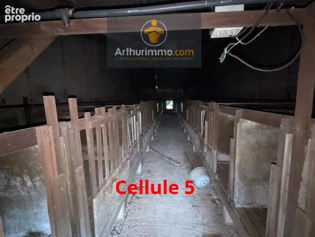 Vente Bureau-local (56120) 21 000ï¿œ - photo 9