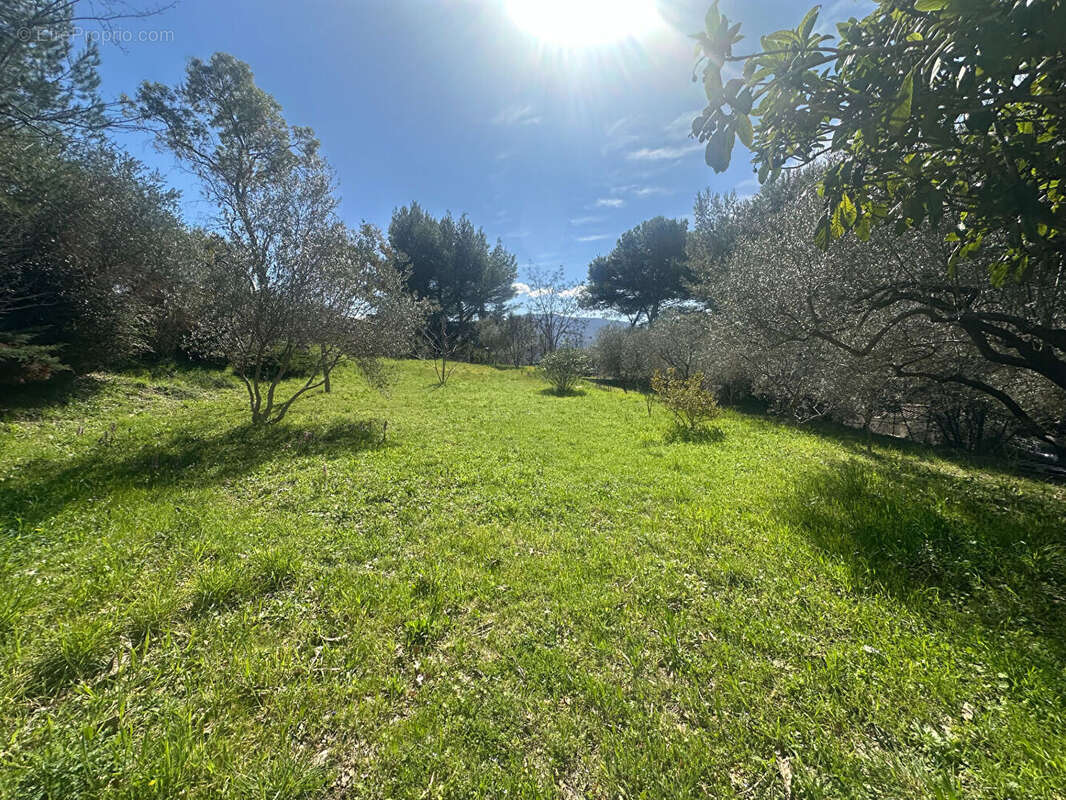 Maison à SAINT-ZACHARIE