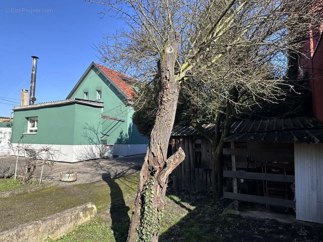 Vue depuis l'arrière du jardin - Maison à SOUFFELWEYERSHEIM