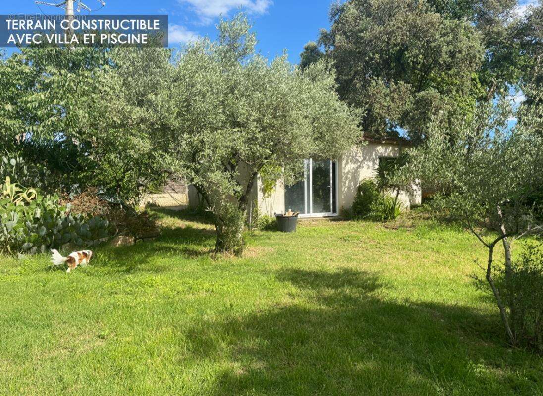 villa avec piscine et possibilité de parcellisé 600m2 - photo 2