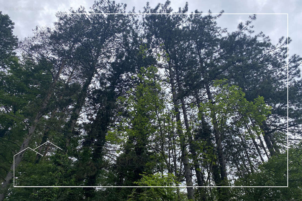 Photo 3 - Terrain à MEUILLEY