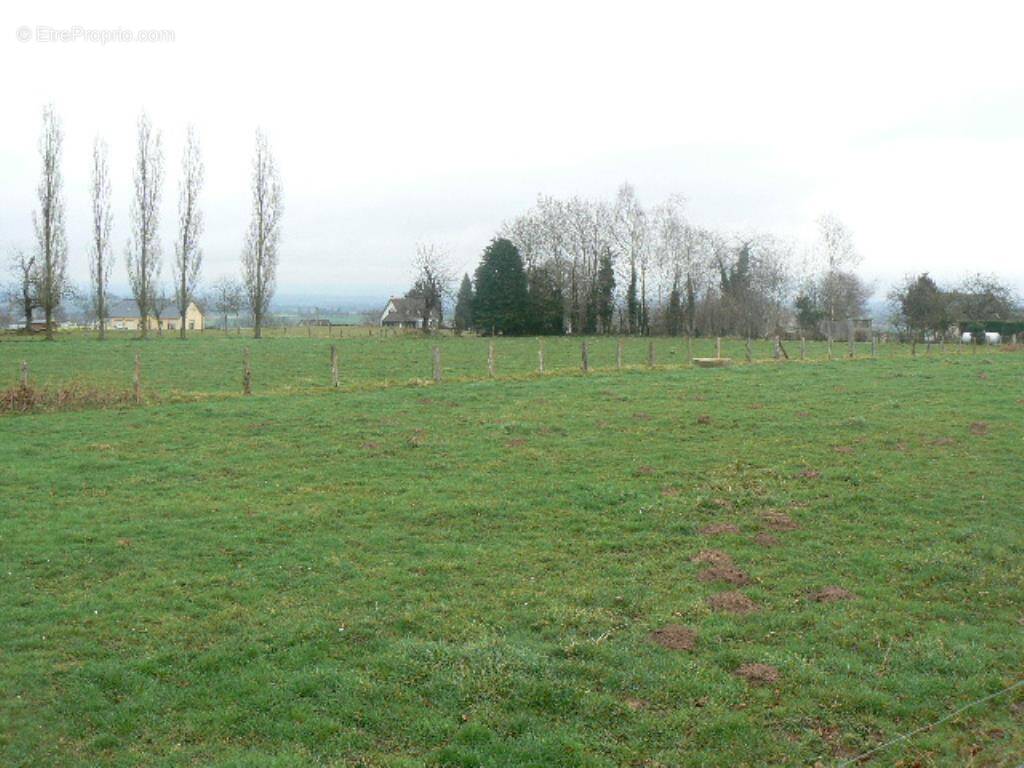 Terrain à LES LOGES-MARCHIS