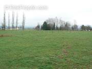 Terrain à LES LOGES-MARCHIS