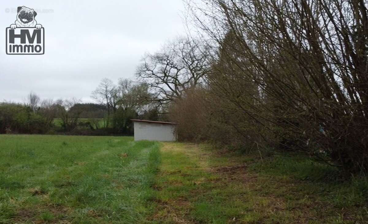 n°3 - Terrain à ANGOISSE
