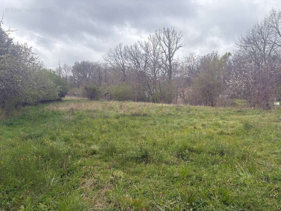 Terrain à BESSIERES